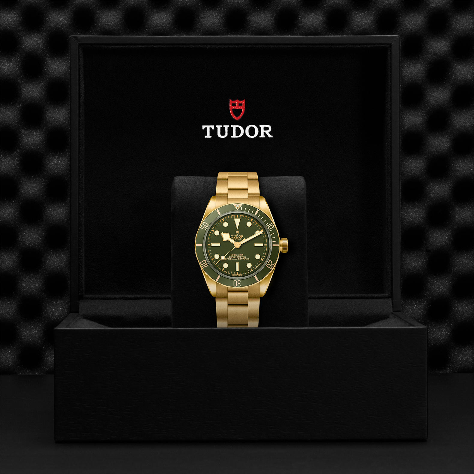 TUDOR Black Bay 58 Watch - M79018V-0006 at Bhindi Jewelers