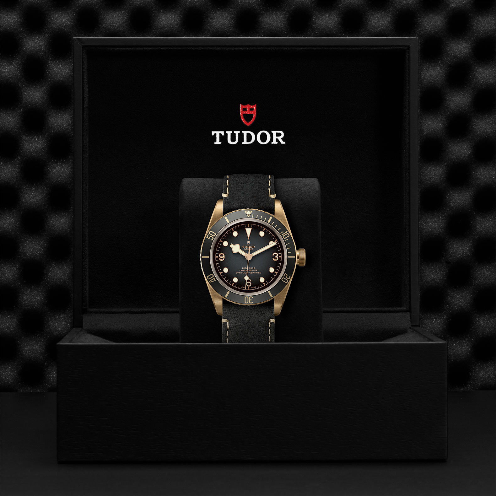 TUDOR Black Bay Bronze Watch - M79250BA-0001 at Bhindi Jewelers