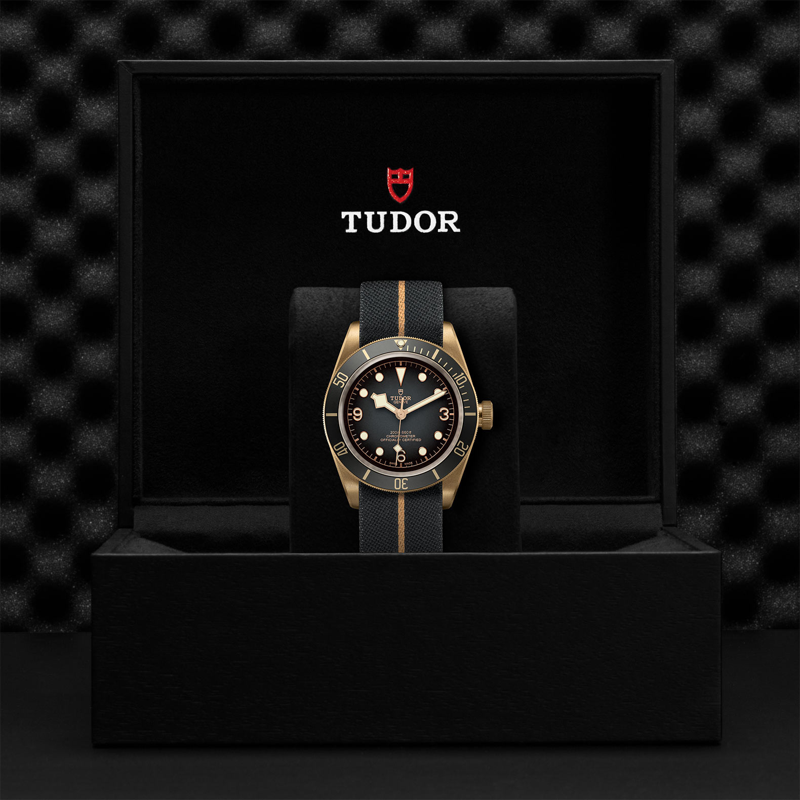 TUDOR Black Bay Bronze Watch - M79250BA-0002 at Bhindi Jewelers