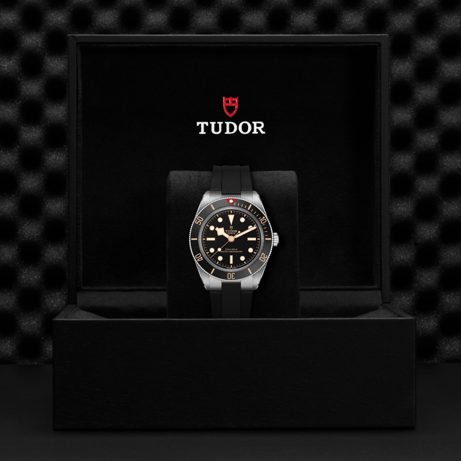 TUDOR Black Bay 58 Watch - M7939A1A0NU-0003 at Bhindi Jewelers