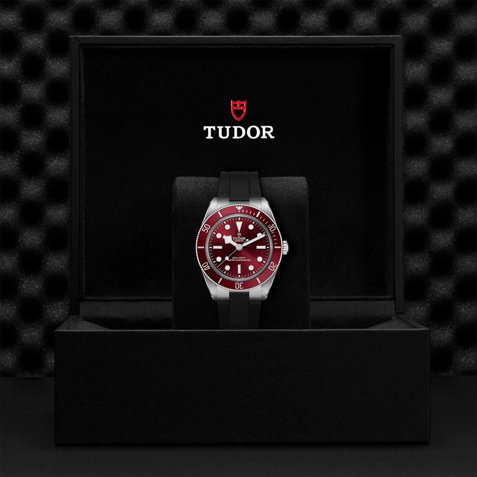 TUDOR Black Bay 58 Watch - M7939A1A0RU-0003 at Bhindi Jewelers