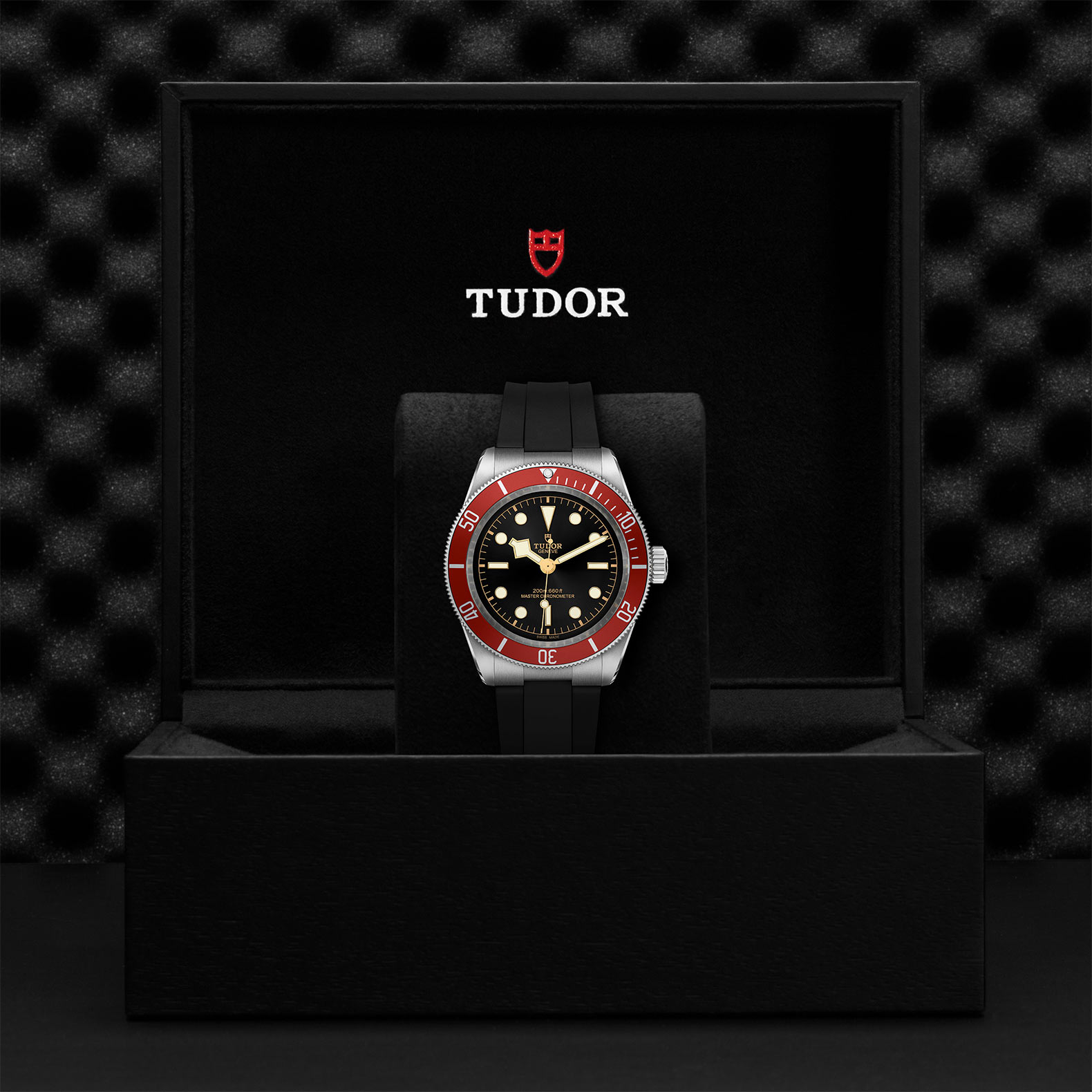 TUDOR Black Bay Watch - M7941A1A0RU-0002 at Bhindi Jewelers