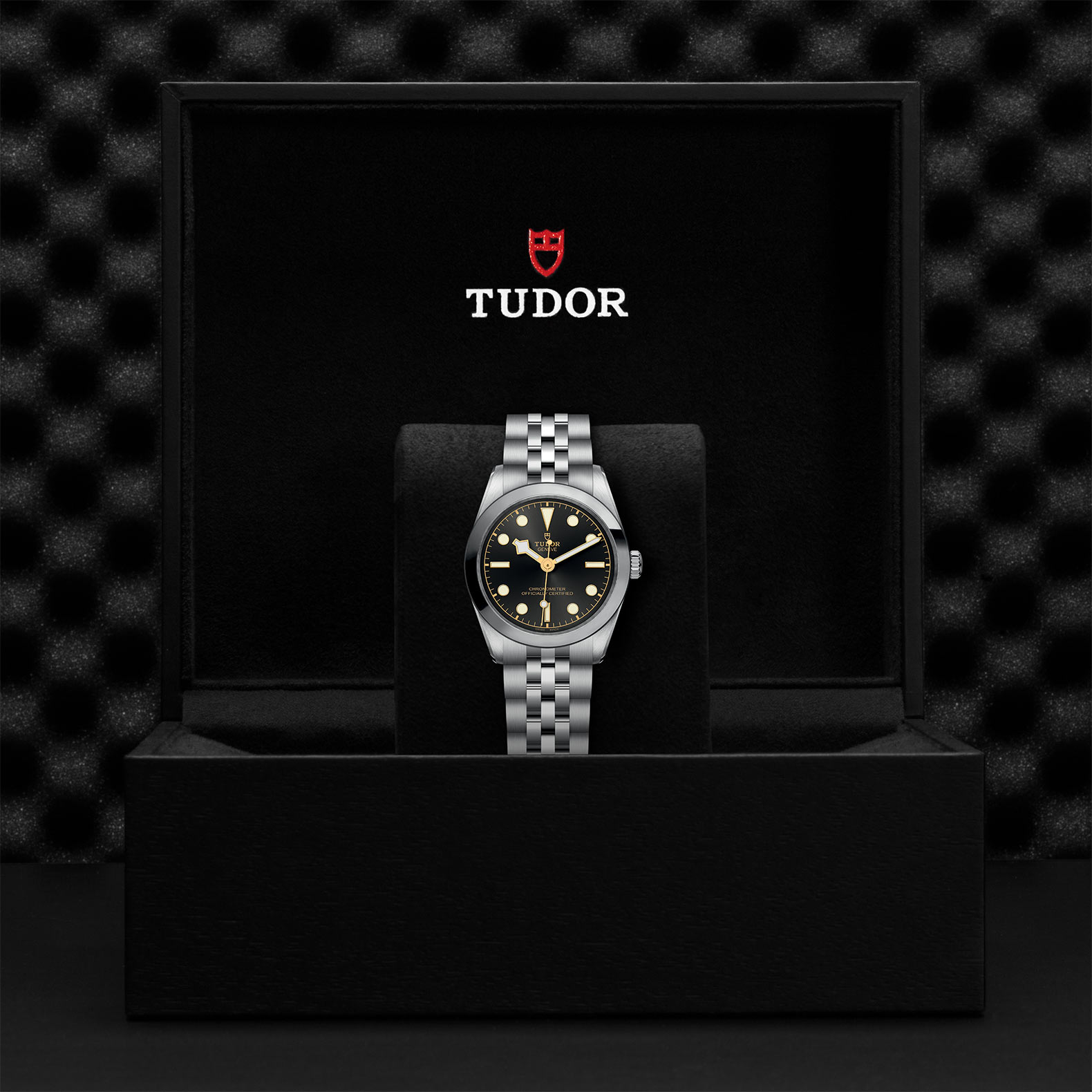 TUDOR Black Bay 31/36/39/41 Watch - M79600-0001 at Bhindi Jewelers