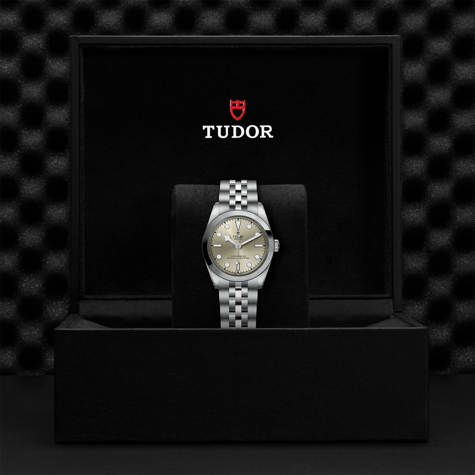 TUDOR Black Bay 31/36/39/41 Watch - M79600-0003 at Bhindi Jewelers