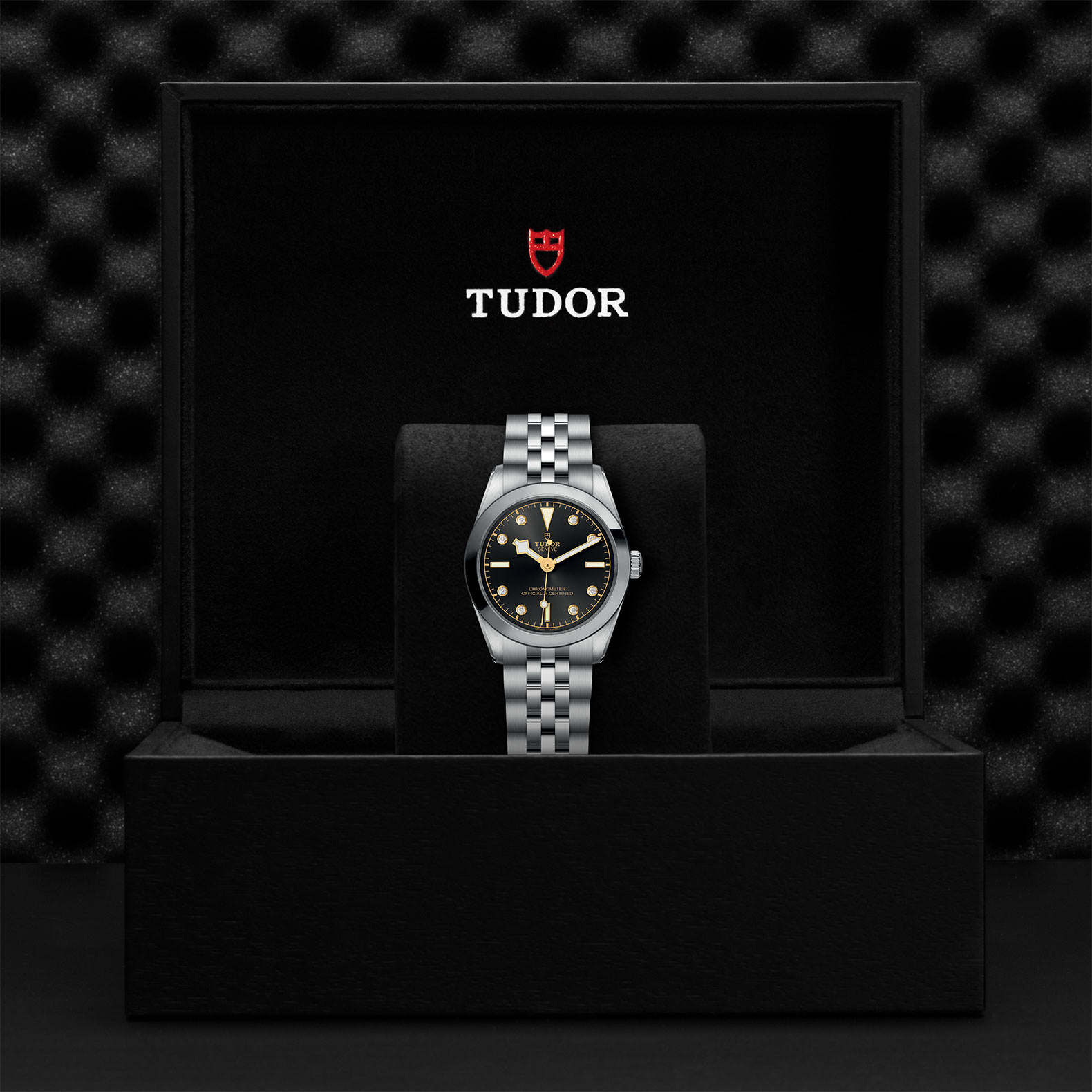 TUDOR Black Bay 31/36/39/41 Watch - M79600-0004 at Bhindi Jewelers