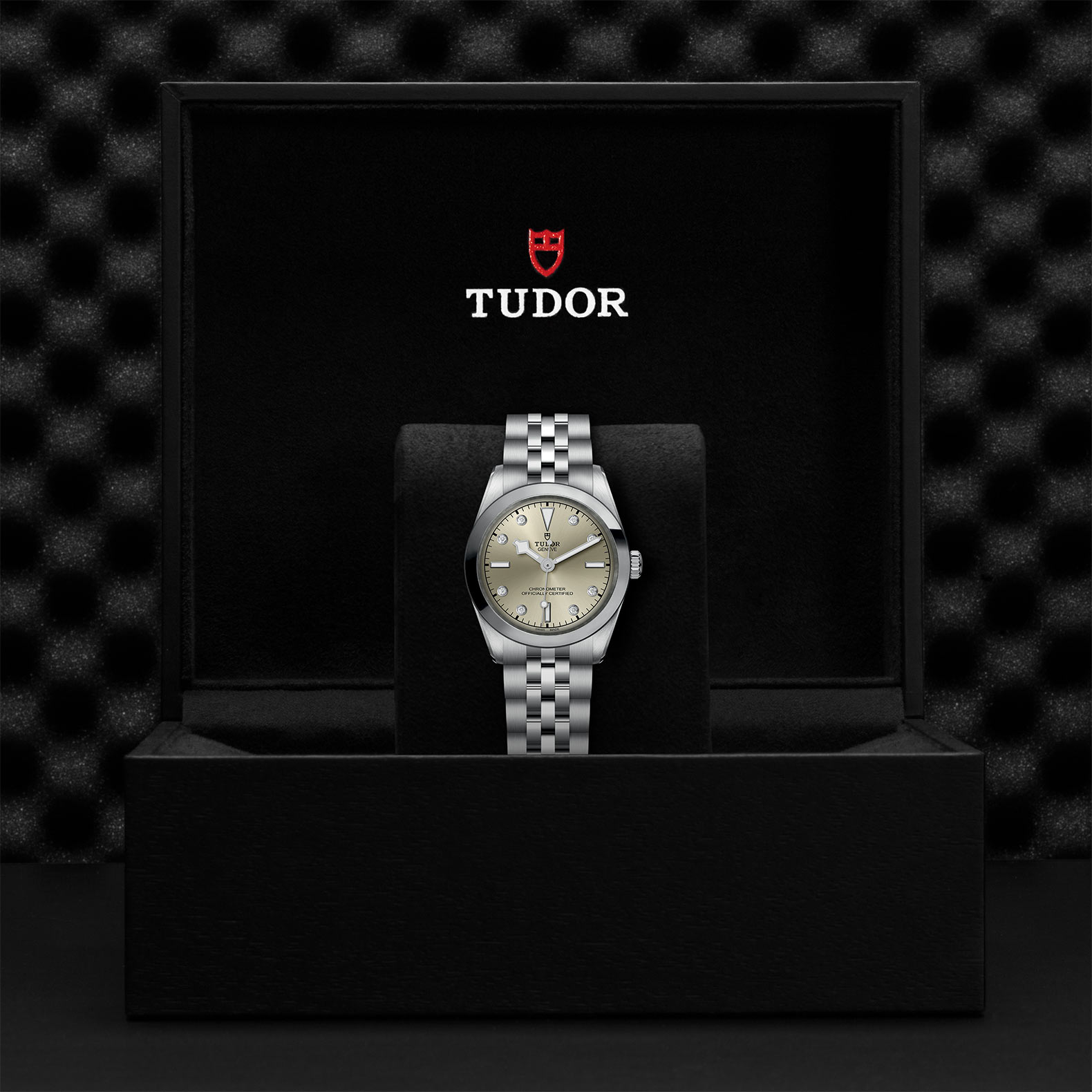 TUDOR Black Bay 31/36/39/41 Watch - M79600-0006 at Bhindi Jewelers