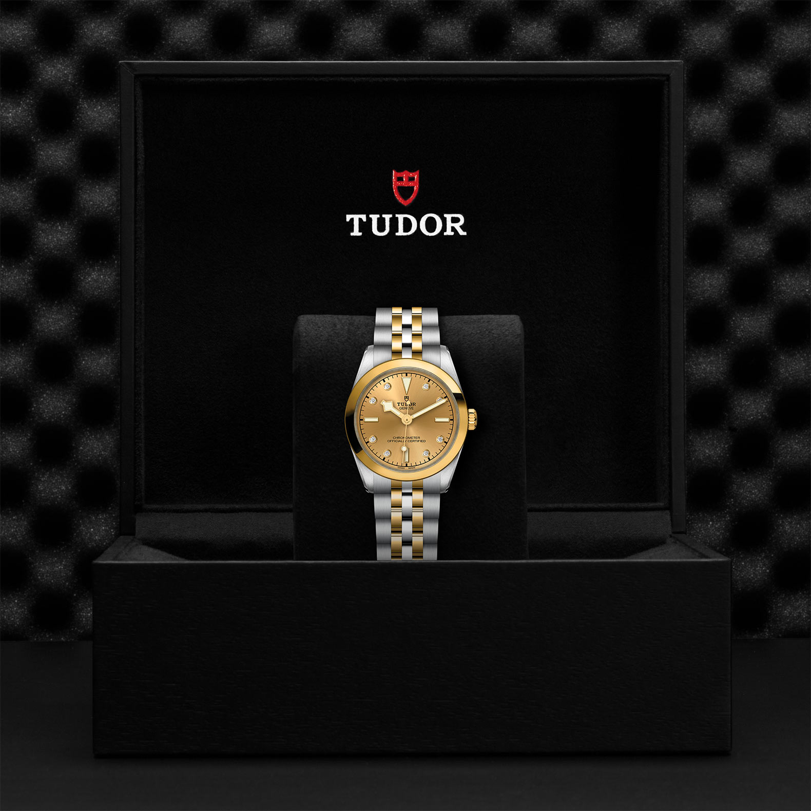 TUDOR Black Bay 31/36/39/41 S&G Watch - M79603-0008 at Bhindi Jewelers