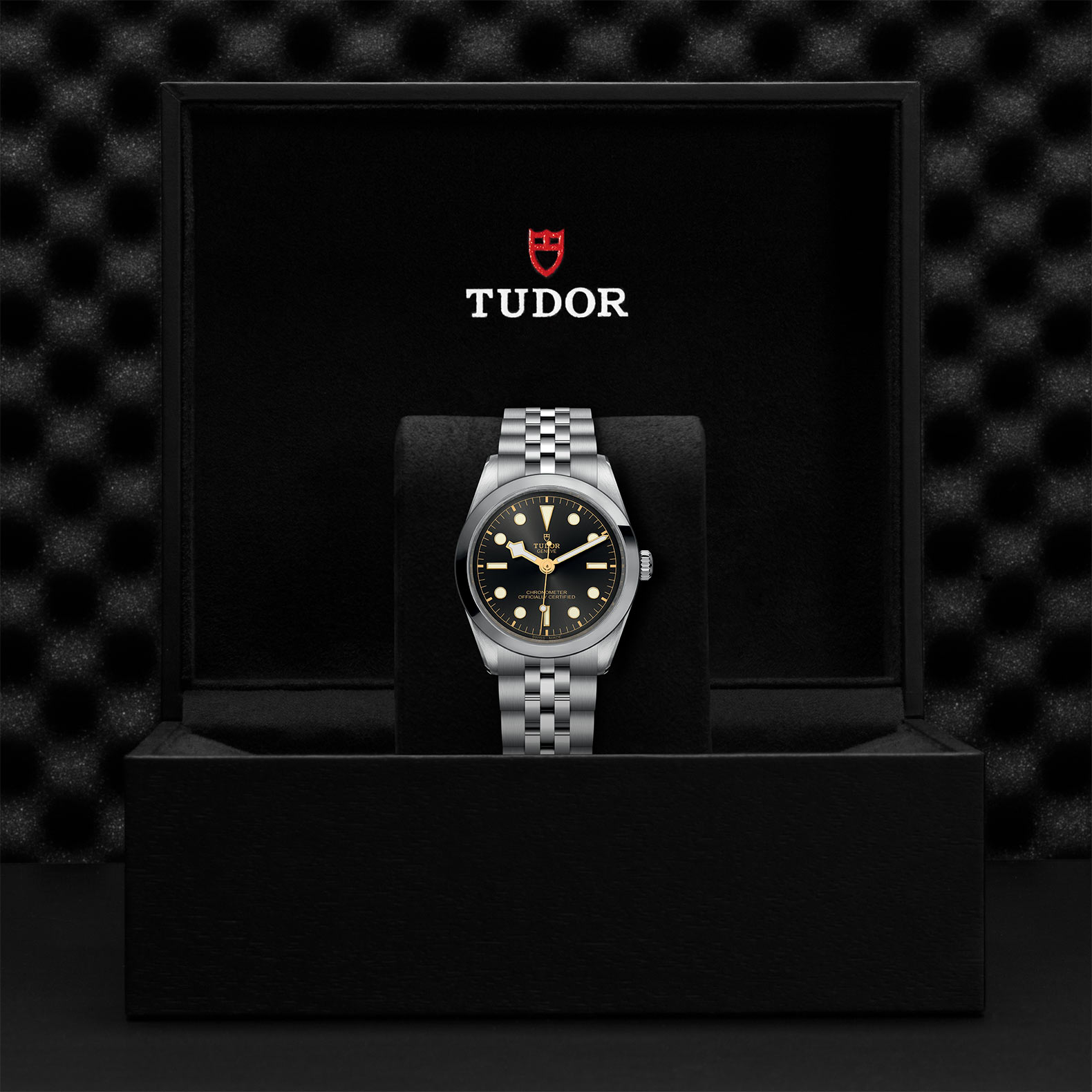 TUDOR Black Bay 31/36/39/41 Watch - M79640-0001 at Bhindi Jewelers