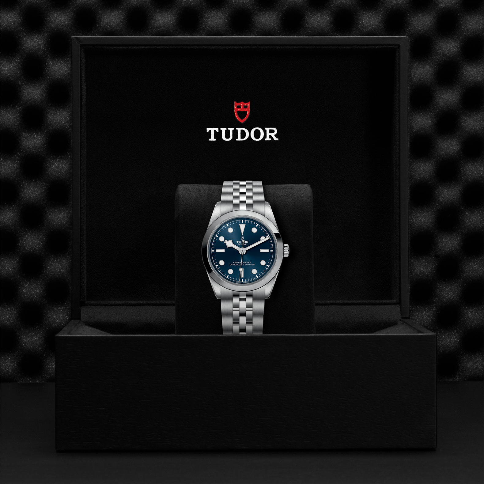 TUDOR Black Bay 31/36/39/41 Watch - M79640-0002 at Bhindi Jewelers