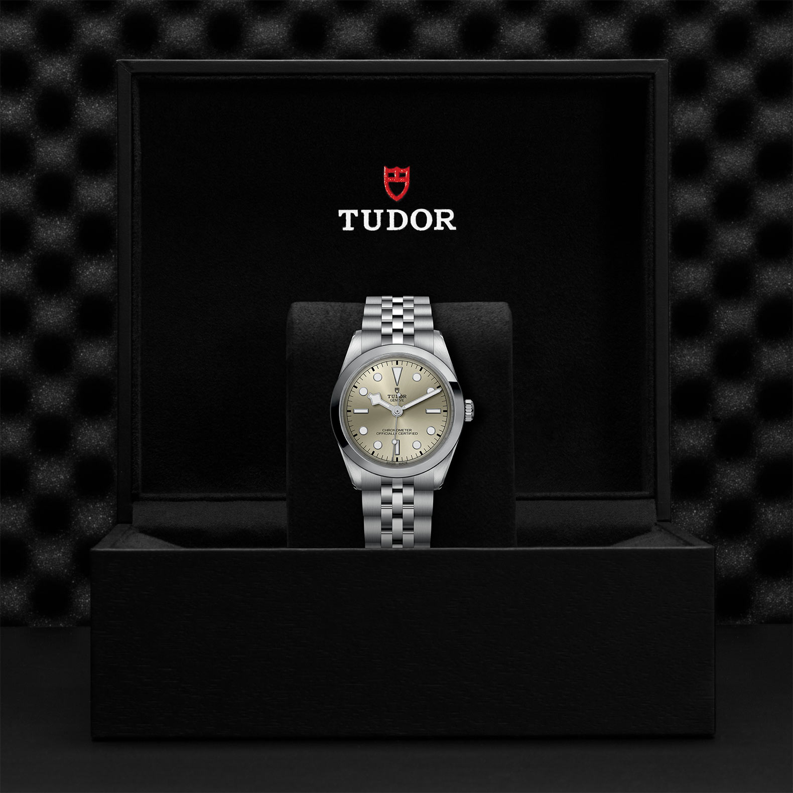 TUDOR Black Bay 31/36/39/41 Watch - M79640-0003 at Bhindi Jewelers