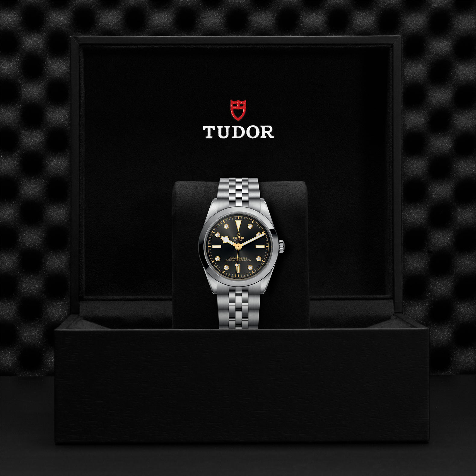 TUDOR Black Bay 31/36/39/41 Watch - M79640-0004 at Bhindi Jewelers