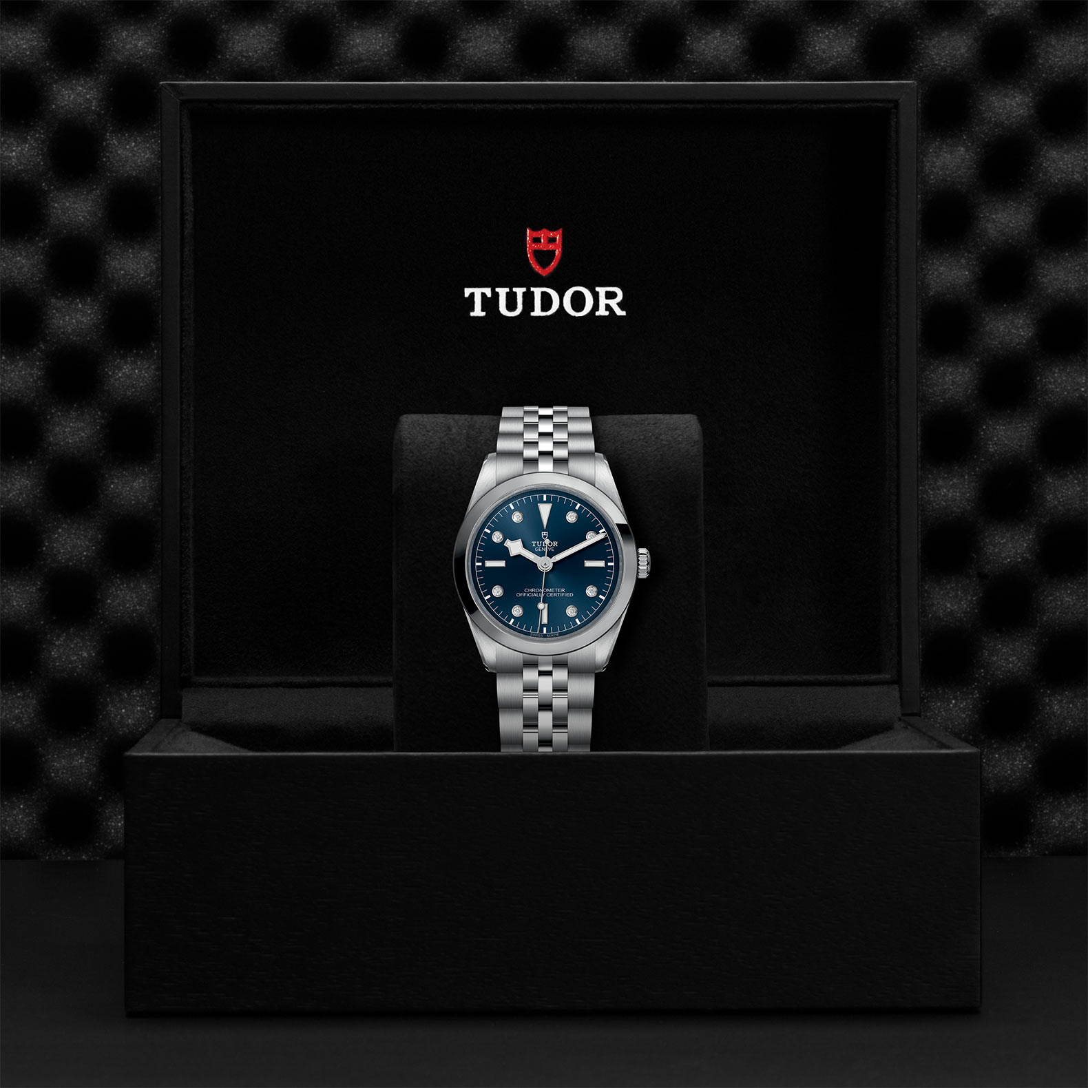 TUDOR Black Bay 31/36/39/41 Watch - M79640-0005 at Bhindi Jewelers