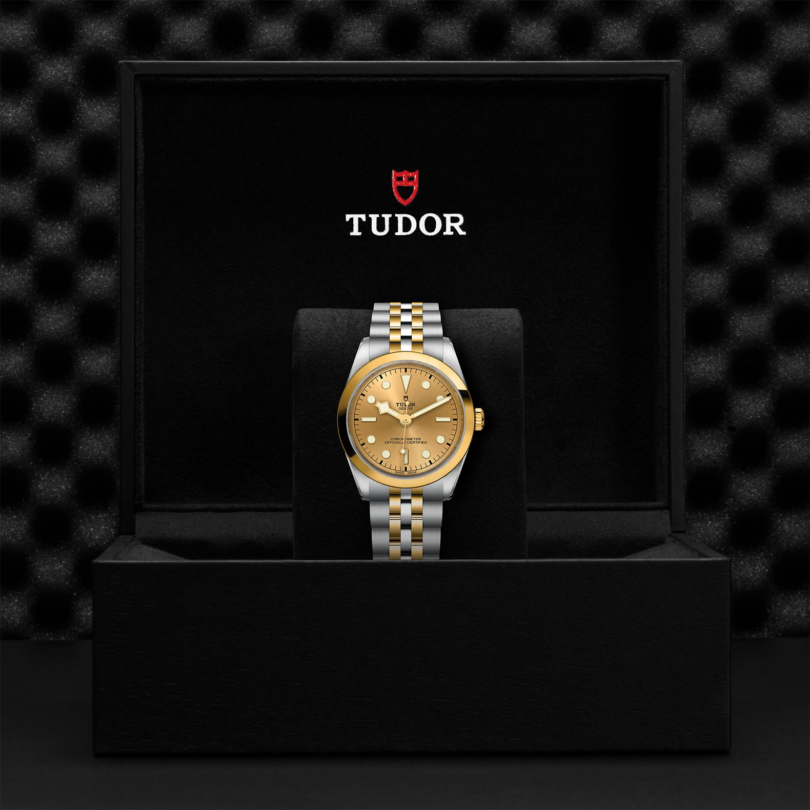 TUDOR Black Bay 31/36/39/41 S&G Watch - M79643-0005 at Bhindi Jewelers