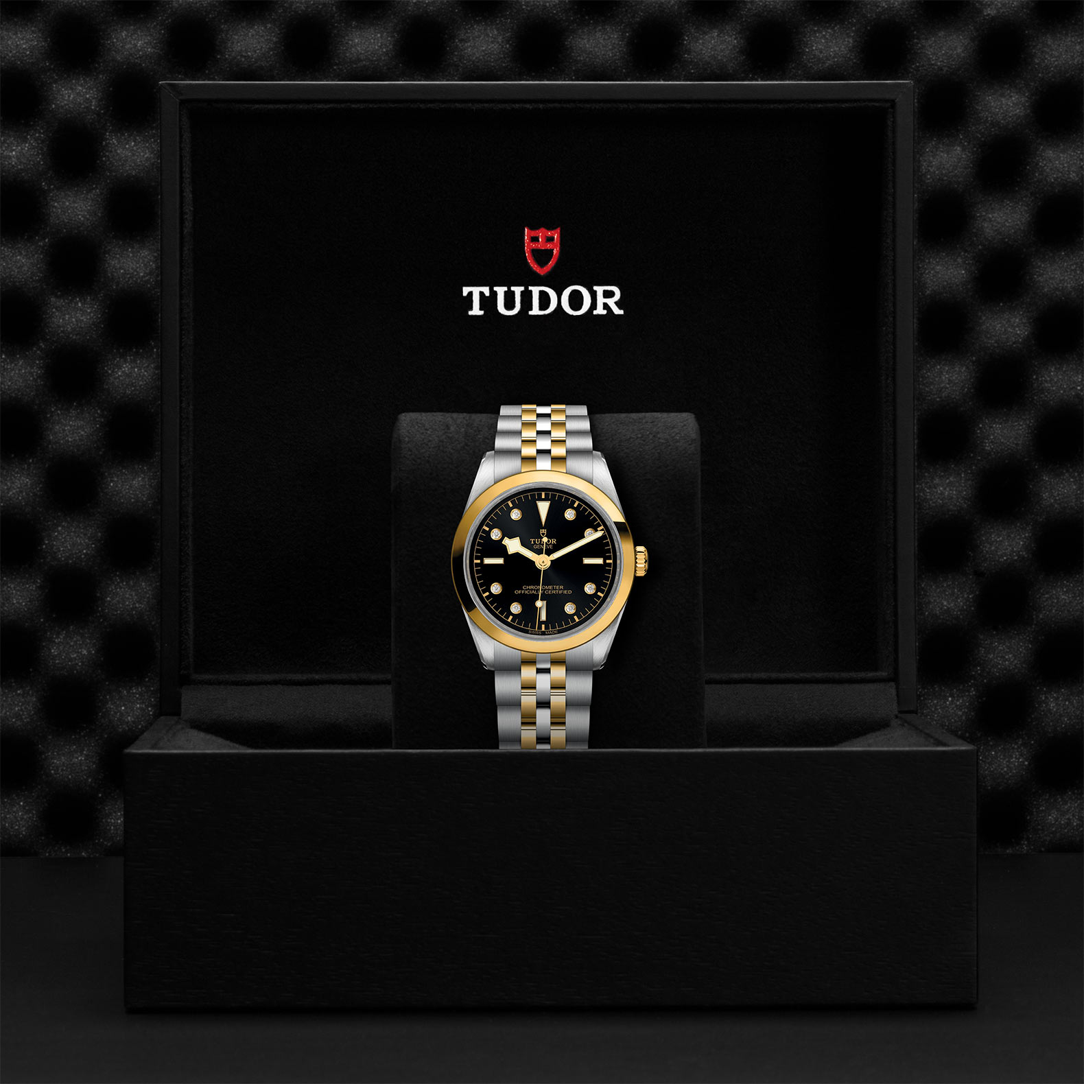 TUDOR Black Bay 31/36/39/41 S&G - M79643-0006 at Bhindi Jewelers