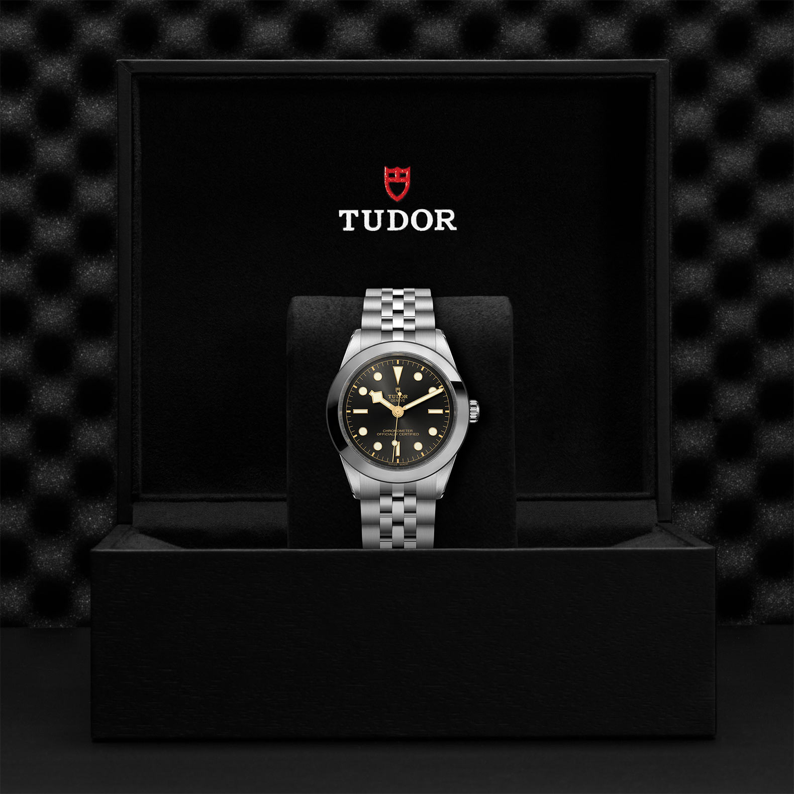 TUDOR Black Bay 31/36/39/41 Watch - M79660-0001 at Bhindi Jewelers