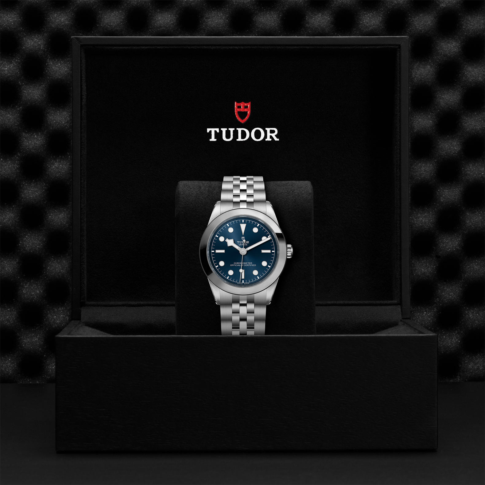 TUDOR Black Bay 31/36/39/41 Watch - M79660-0002 at Bhindi Jewelers