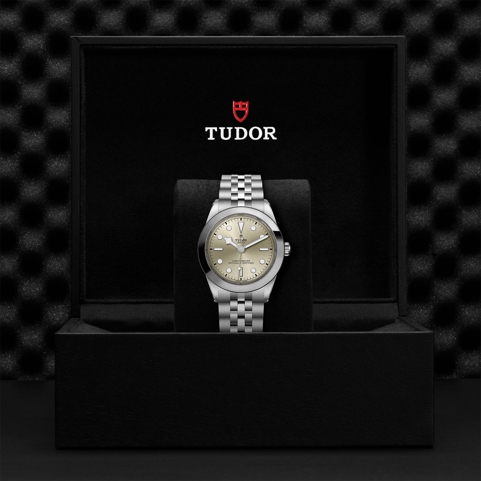 TUDOR Black Bay 31/36/39/41 Watch - M79660-0003 at Bhindi Jewelers