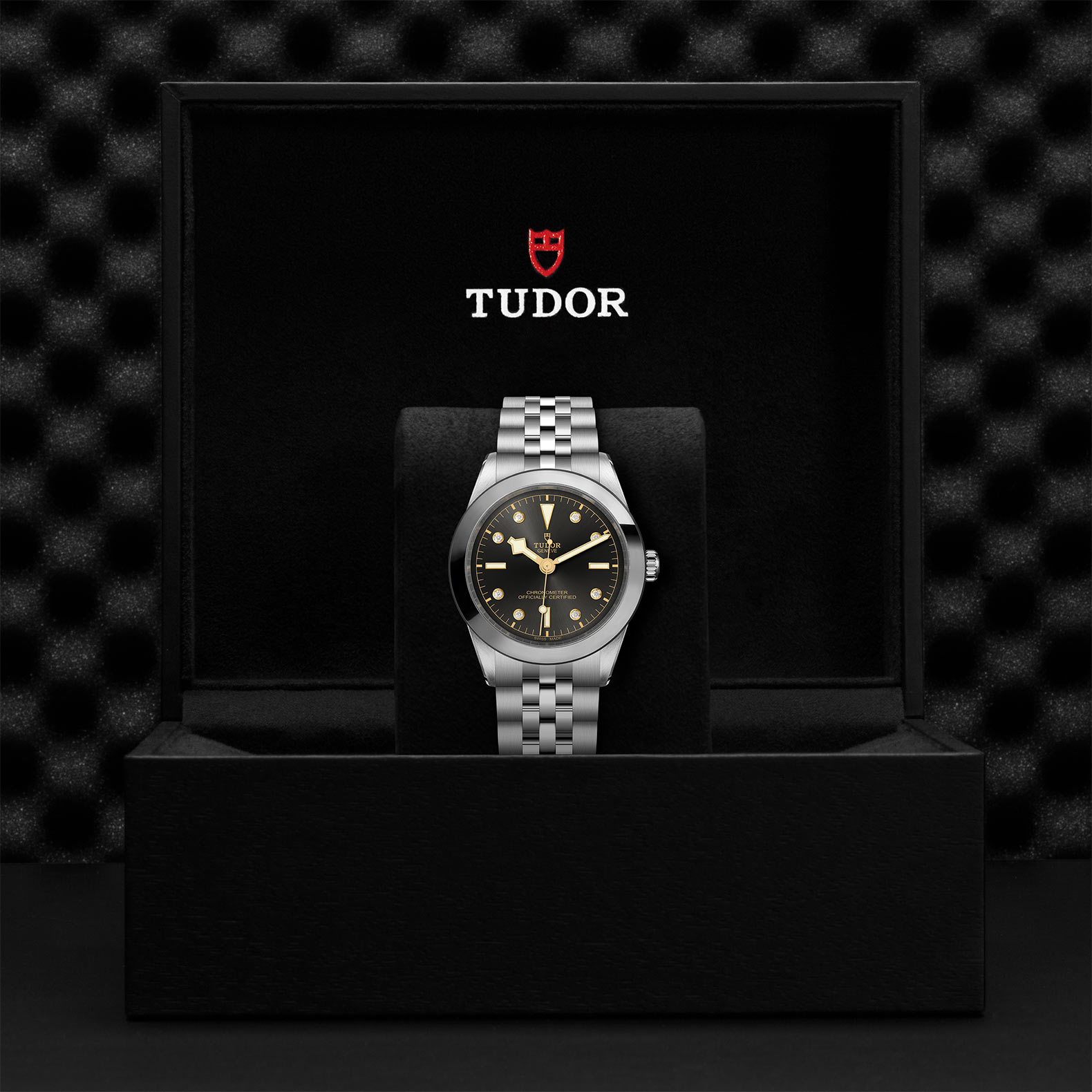TUDOR Black Bay 31/36/39/41 Watch - M79660-0004 at Bhindi Jewelers