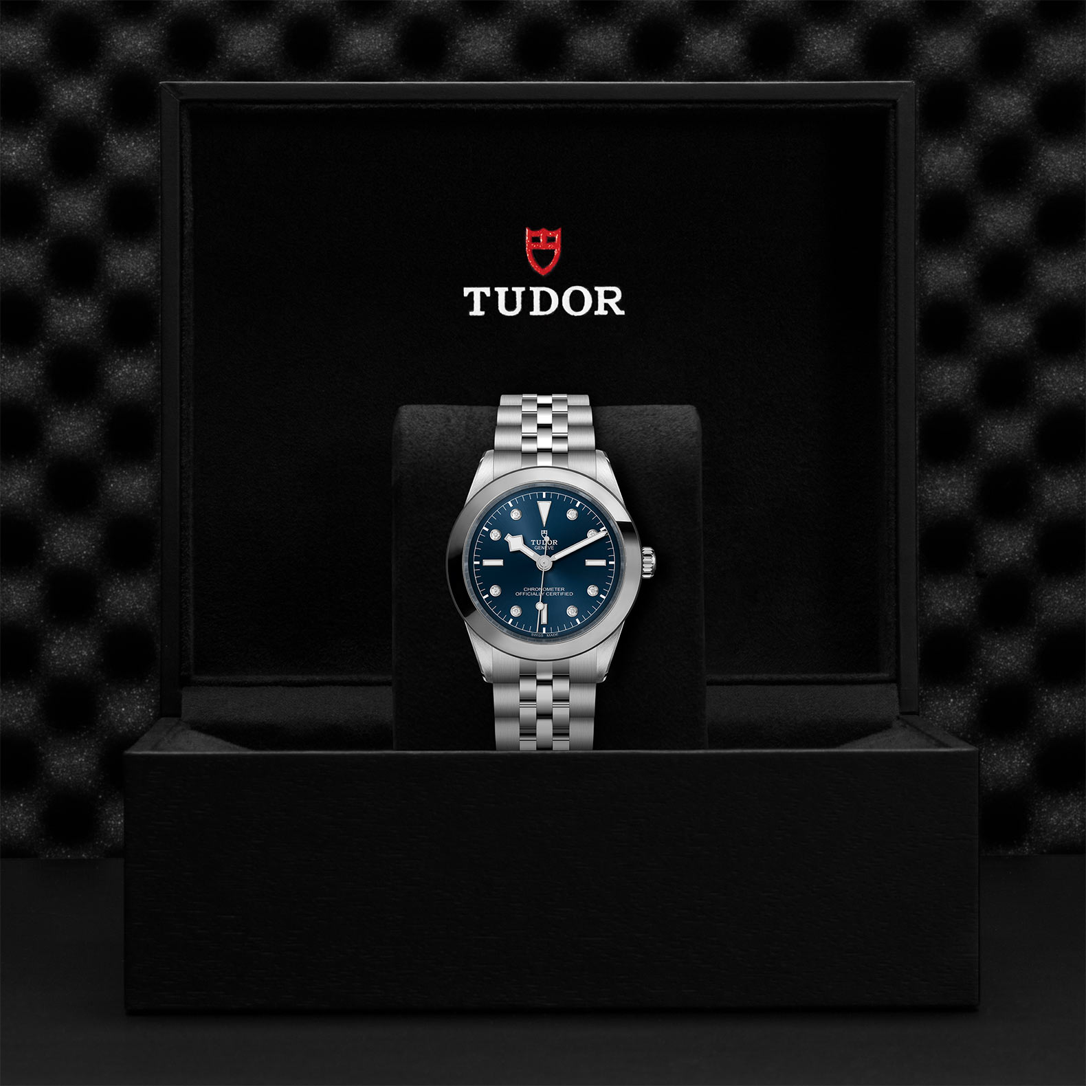 TUDOR Black Bay 31/36/39/41 Watch - M79660-0005 at Bhindi Jewelers