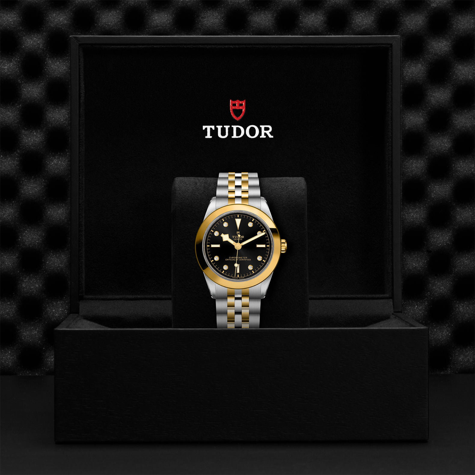 TUDOR Black Bay 31/36/39/41 S&G - M79663-0006 at Bhindi Jewelers