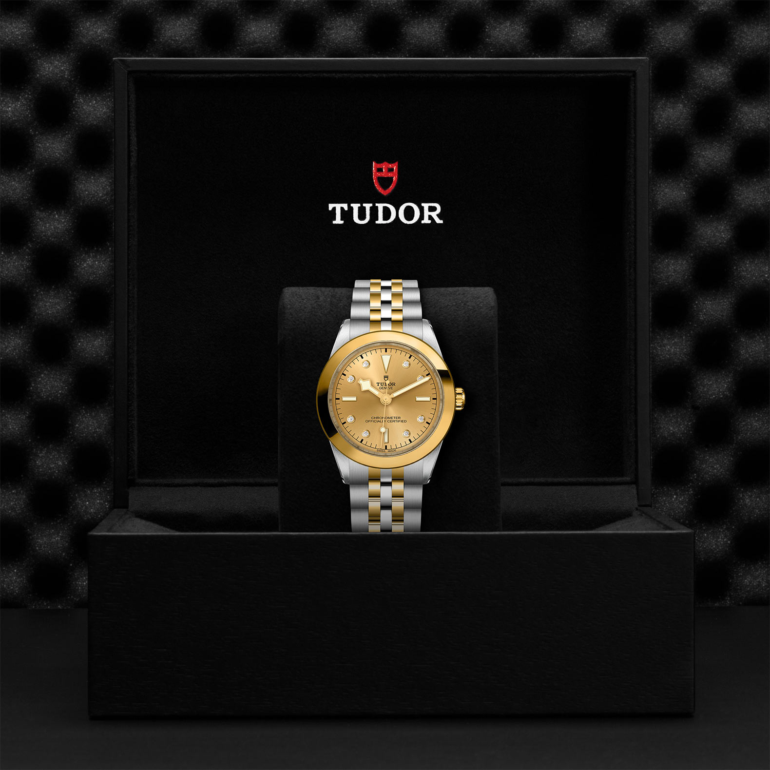 TUDOR Black Bay 31/36/39/41 S&G Watch - M79663-0008 at Bhindi Jewelers