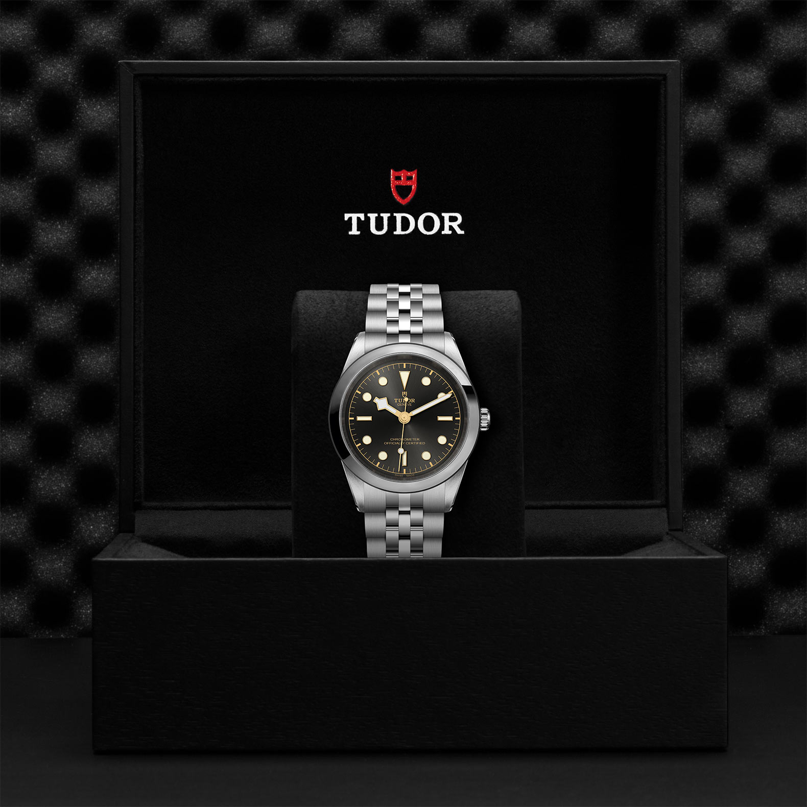 TUDOR Black Bay 31/36/39/41 Watch - M79680-0001 at Bhindi Jewelers