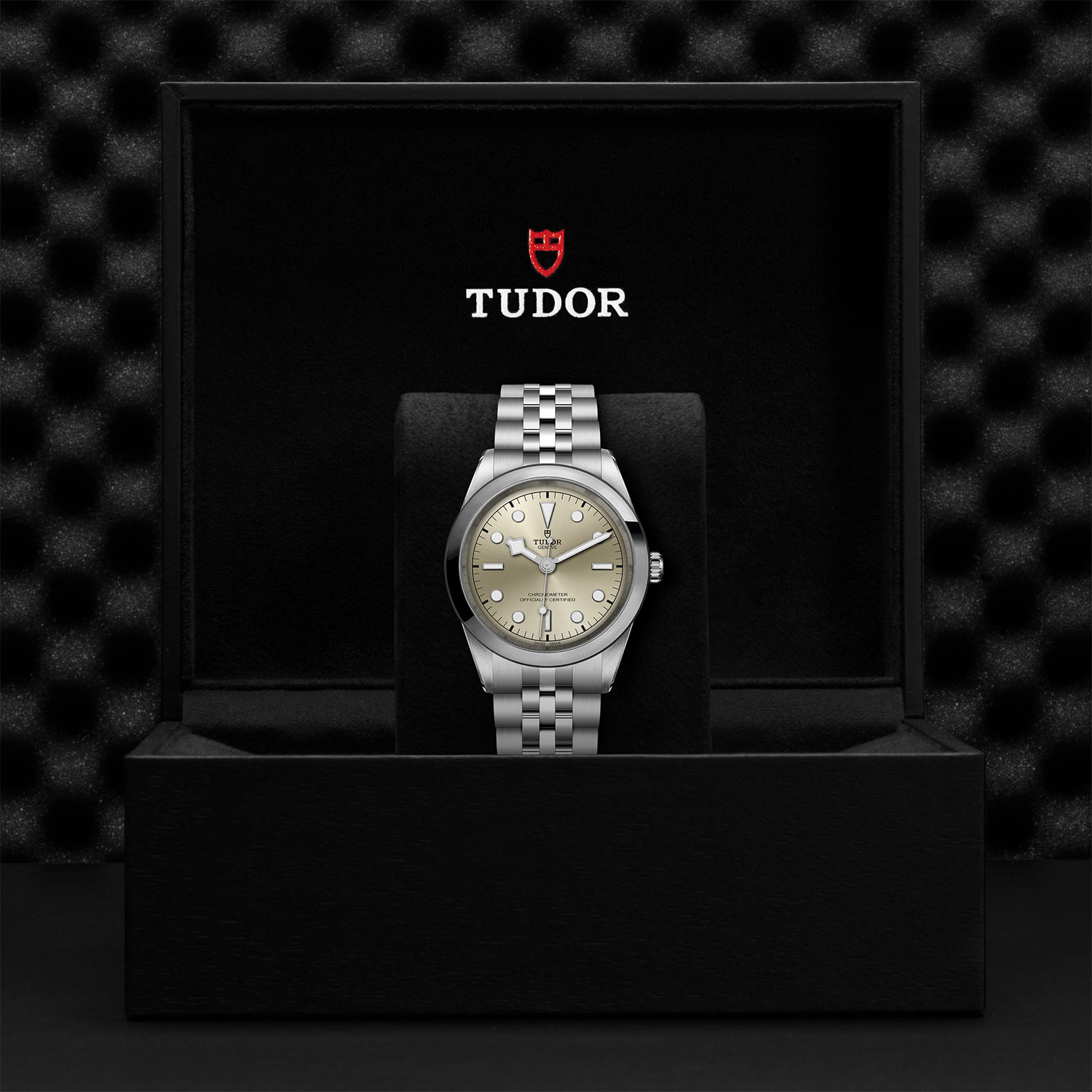 TUDOR Black Bay 31/36/39/41 Watch - M79680-0003 at Bhindi Jewelers