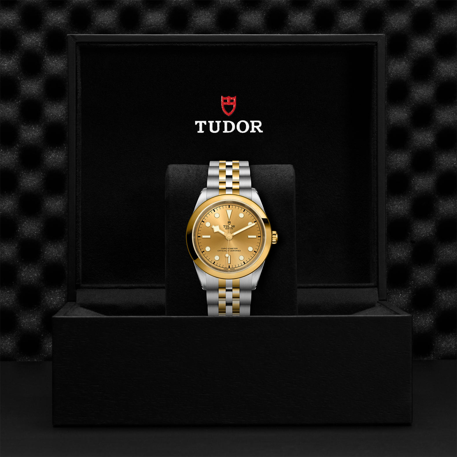 TUDOR Black Bay 31/36/39/41 S&G Watch - M79683-0005 at Bhindi Jewelers