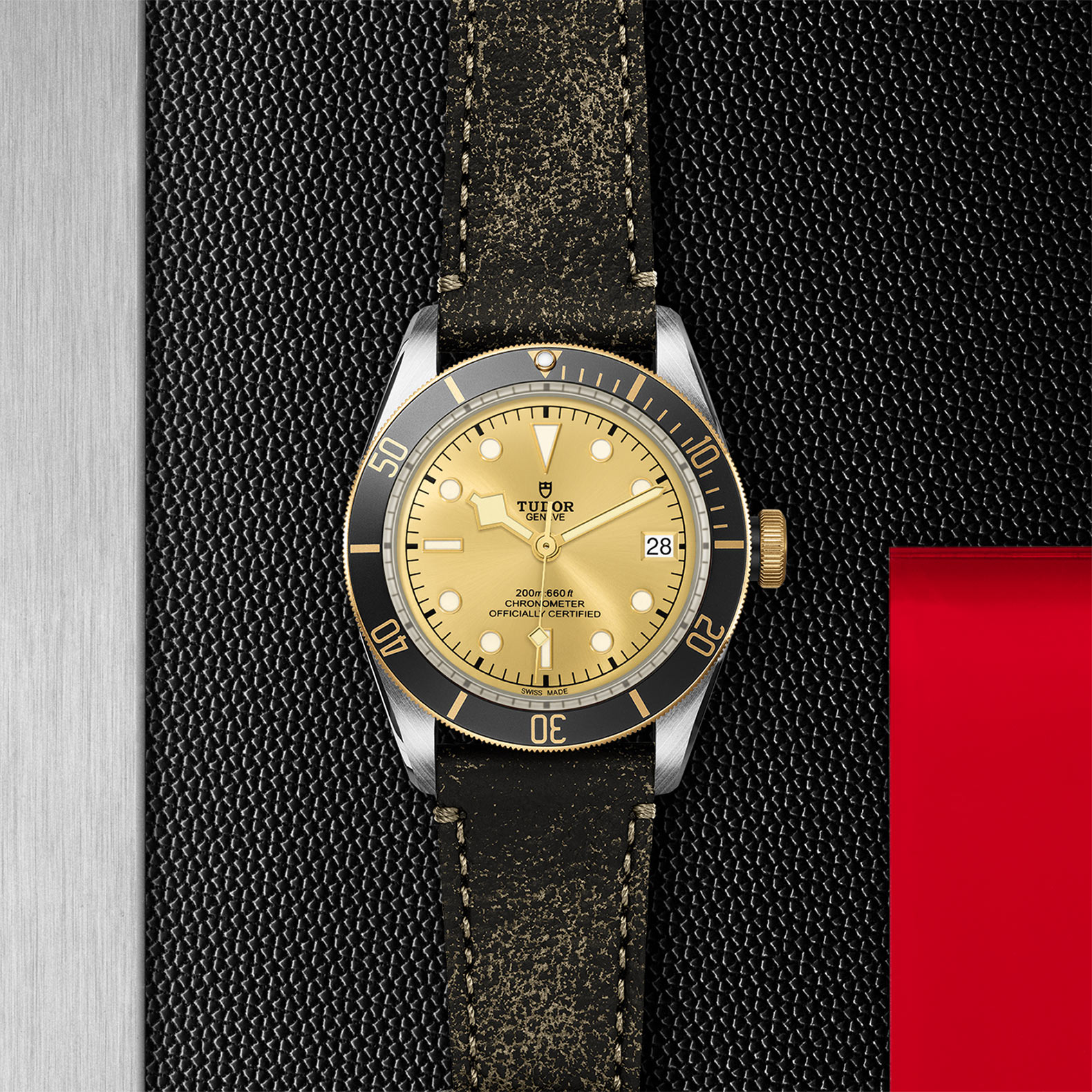 TUDOR Black Bay Watch - M79733N-0003 at Bhindi Jewelers