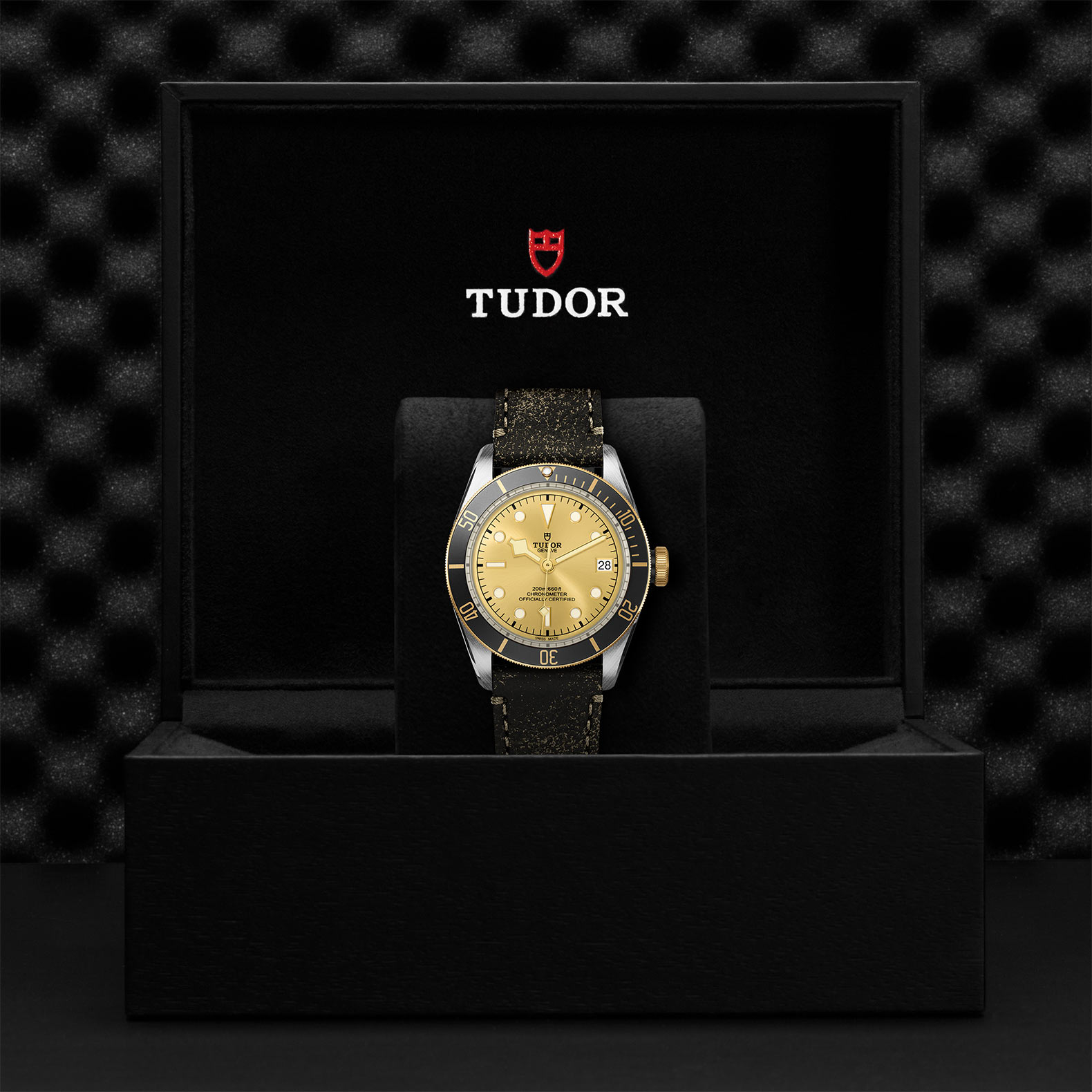 TUDOR Black Bay Watch - M79733N-0003 at Bhindi Jewelers