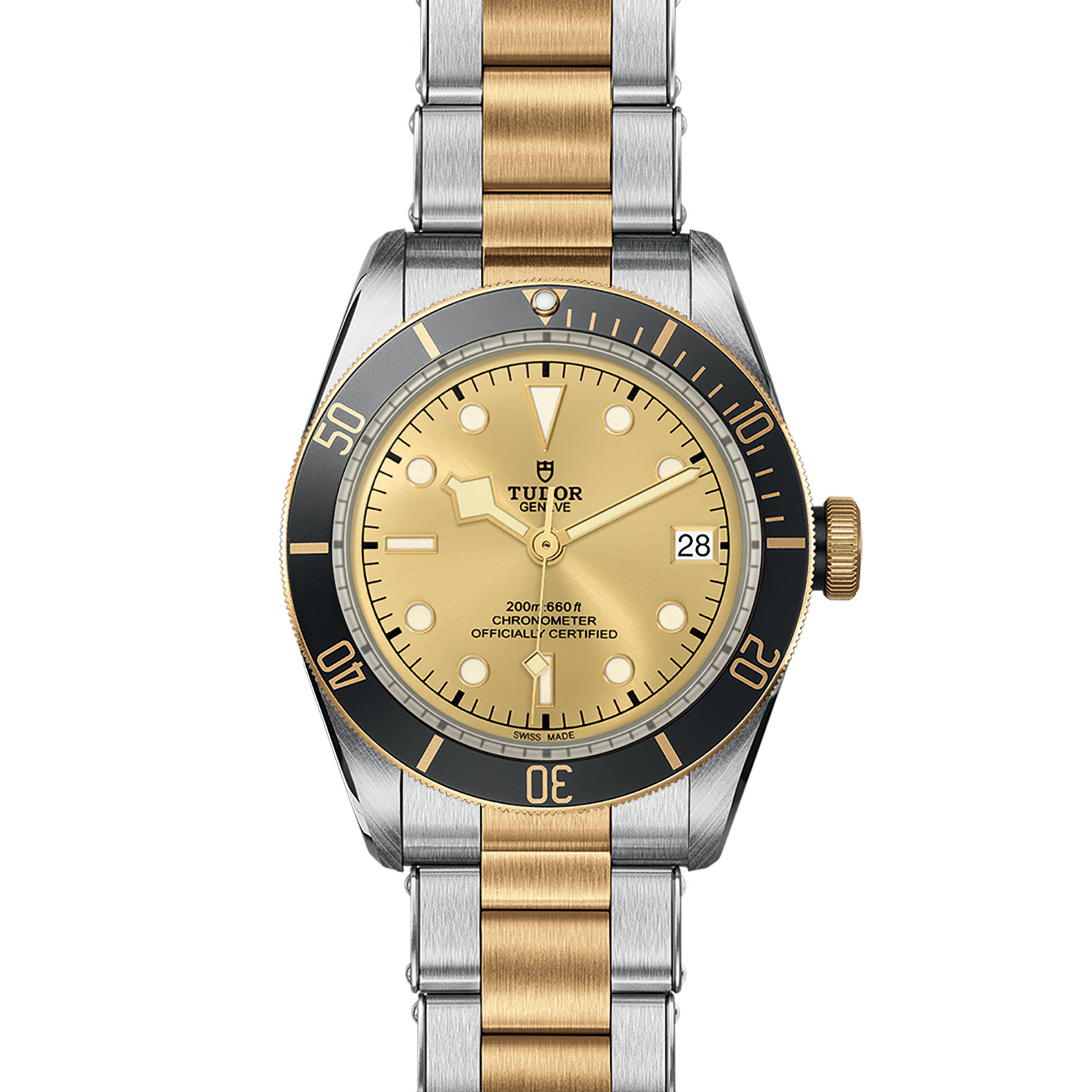 TUDOR Black Bay Watch - M79733N-0004 at Bhindi Jewelers