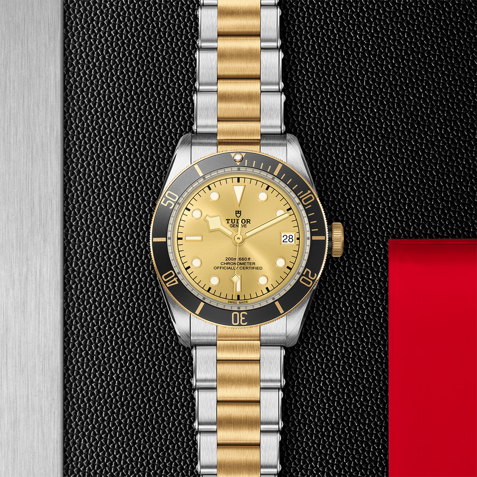TUDOR Black Bay Watch - M79733N-0004 at Bhindi Jewelers