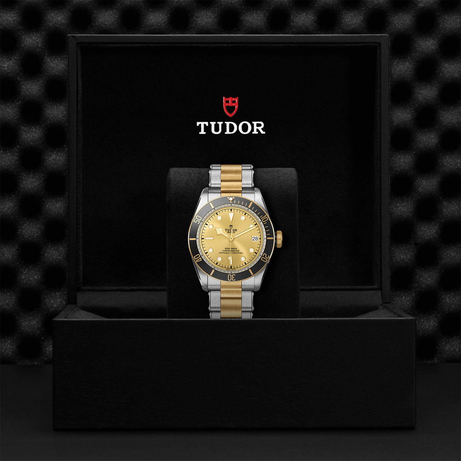 TUDOR Black Bay Watch - M79733N-0004 at Bhindi Jewelers