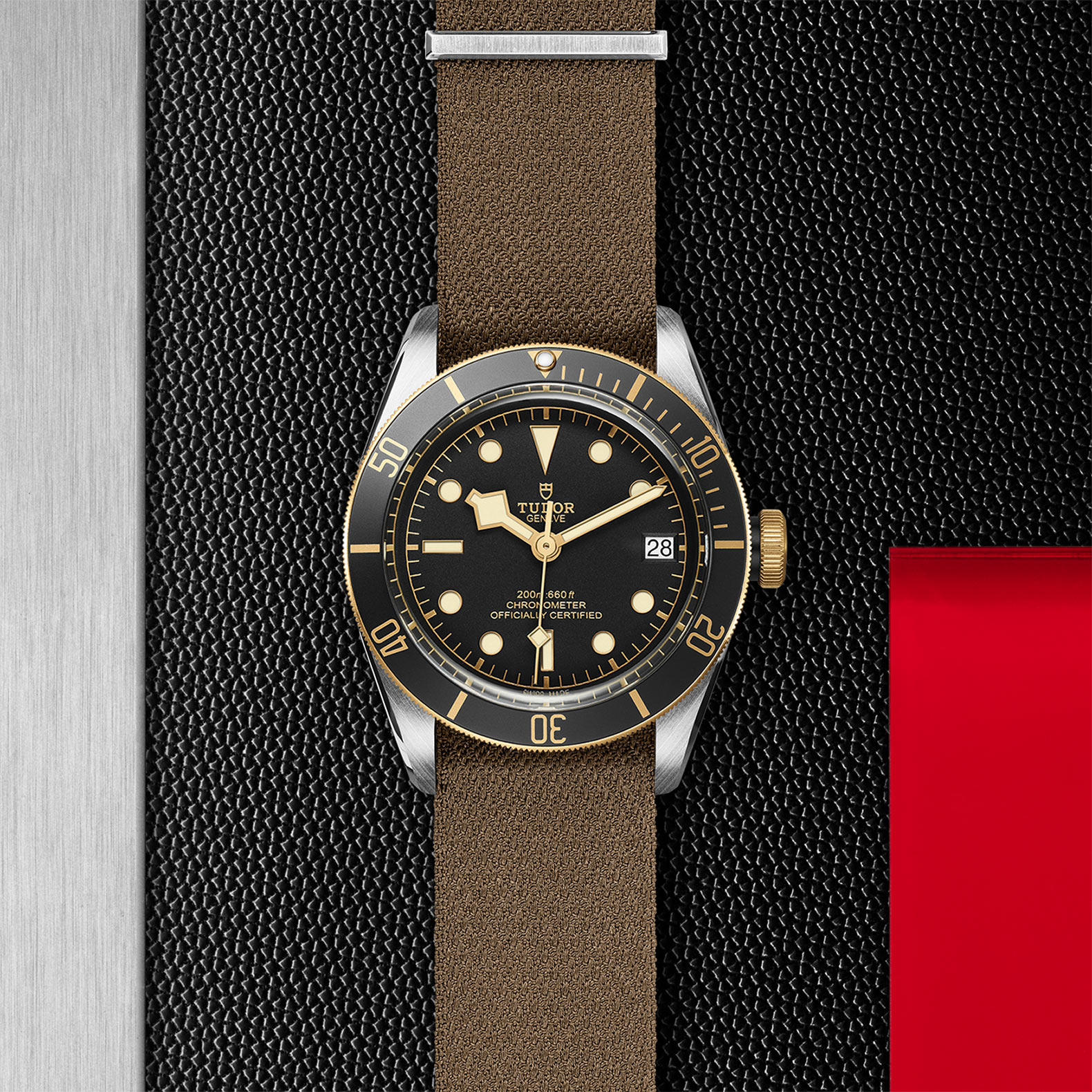 TUDOR Black Bay Watch - M79733N-0005 at Bhindi Jewelers