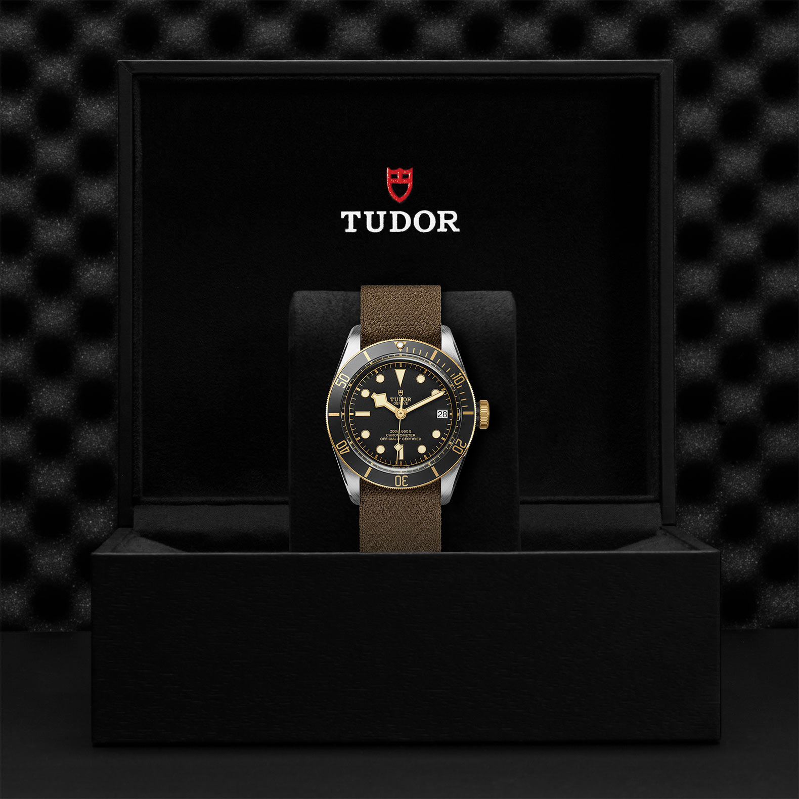 TUDOR Black Bay Watch - M79733N-0005 at Bhindi Jewelers