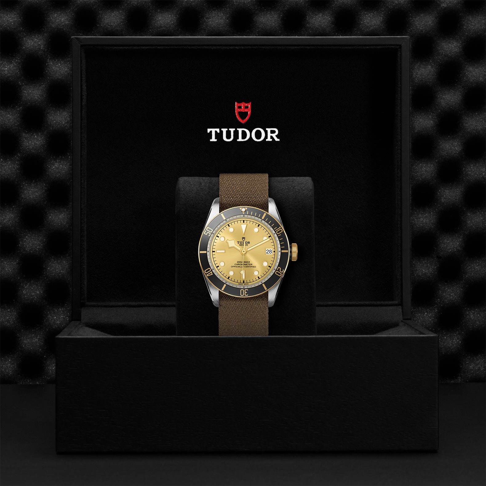 TUDOR Black Bay Watch - M79733N-0006 at Bhindi Jewelers