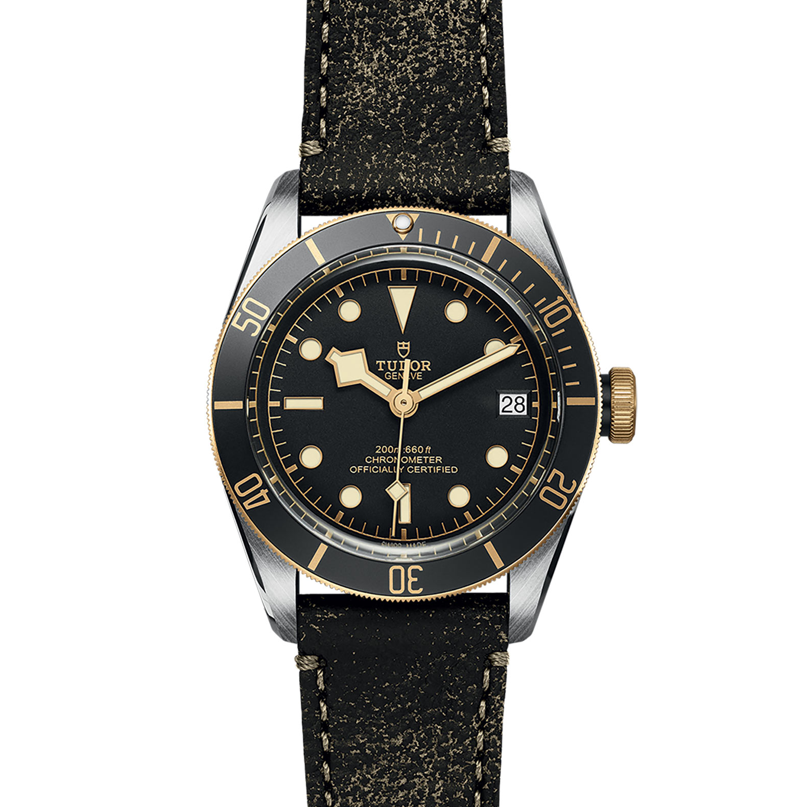 TUDOR Black Bay Watch - M79733N-0007 at Bhindi Jewelers