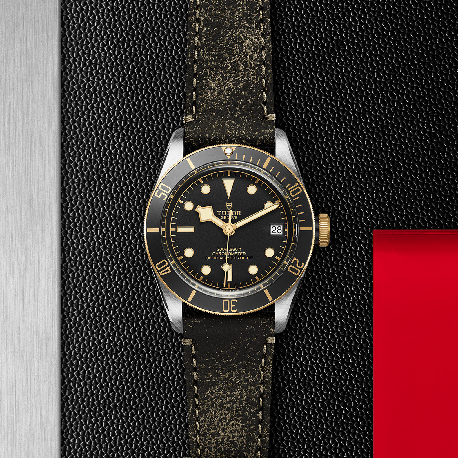TUDOR Black Bay Watch - M79733N-0007 at Bhindi Jewelers
