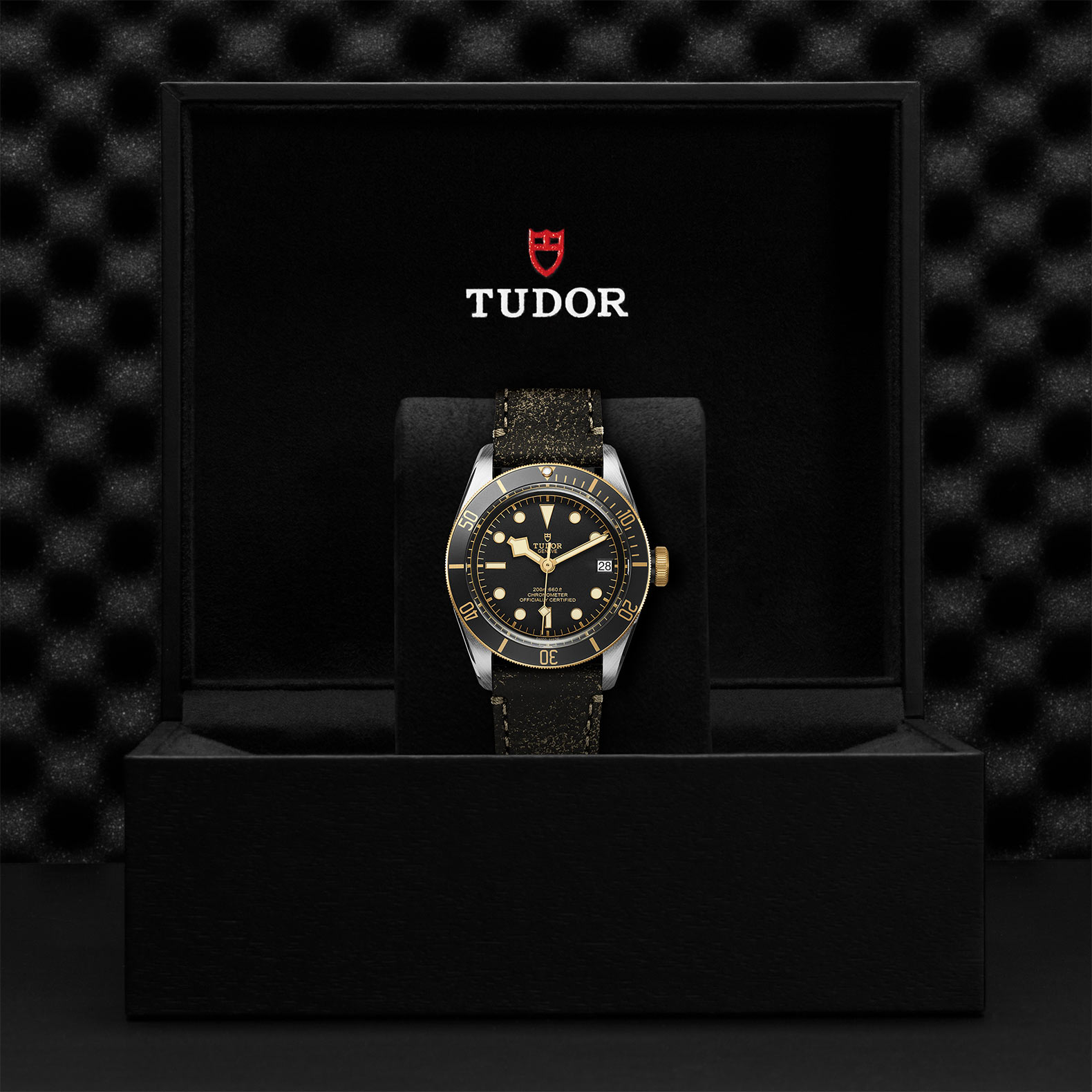 TUDOR Black Bay Watch - M79733N-0007 at Bhindi Jewelers