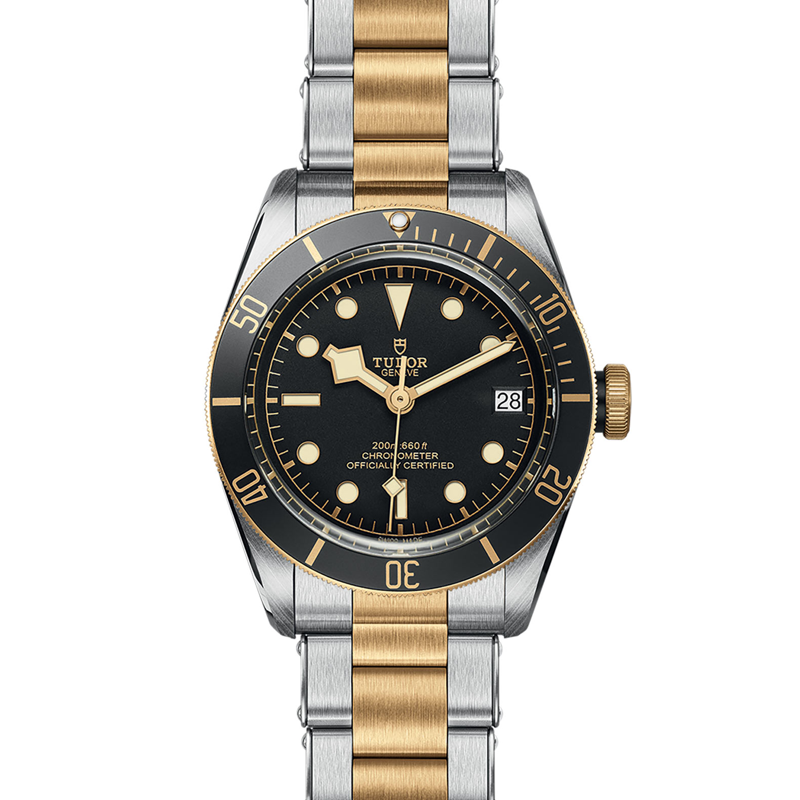 TUDOR Black Bay Watch - M79733N-0008 at Bhindi Jewelers