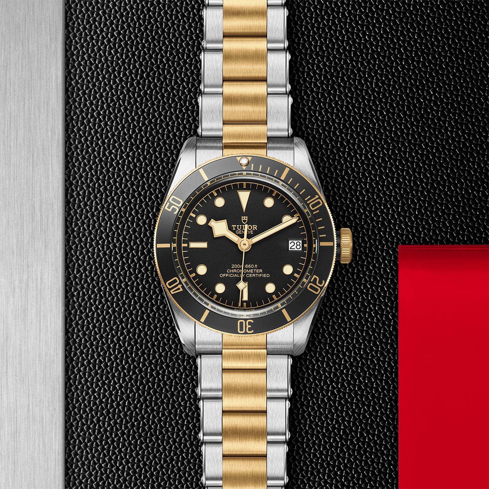 TUDOR Black Bay Watch - M79733N-0008 at Bhindi Jewelers
