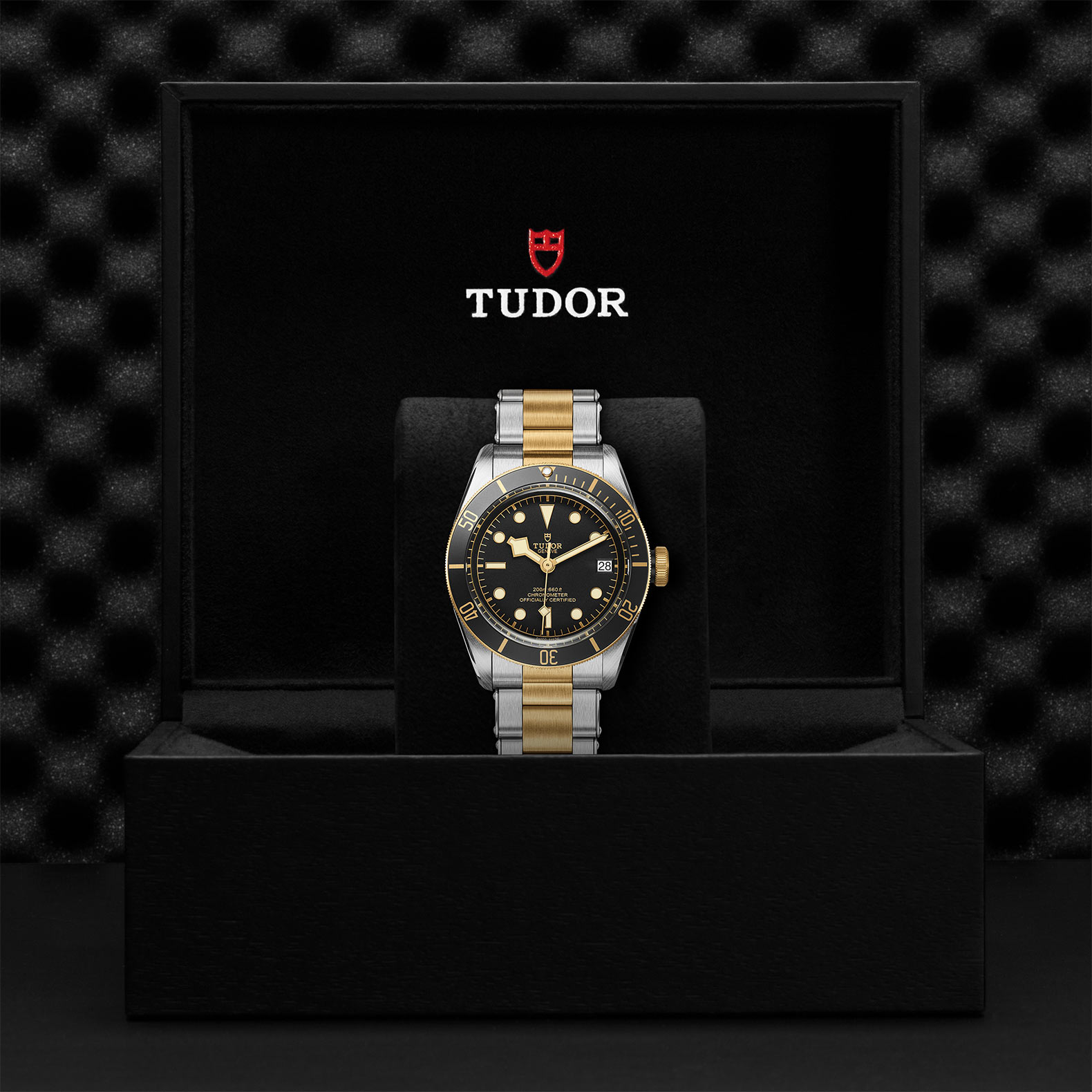 TUDOR Black Bay Watch - M79733N-0008 at Bhindi Jewelers