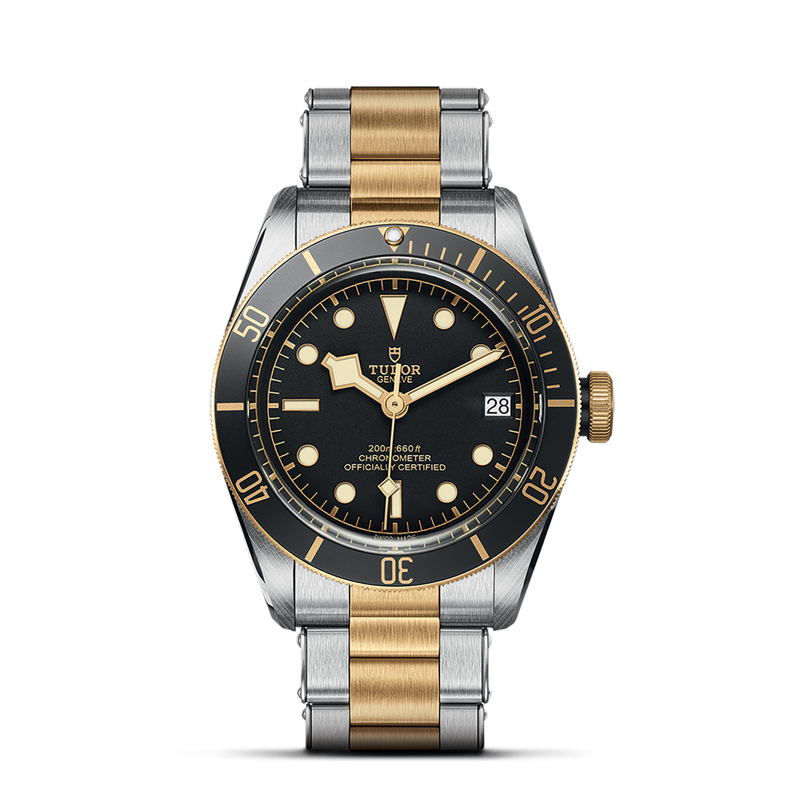 TUDOR Black Bay Watch - M79733N-0008 at Bhindi Jewelers