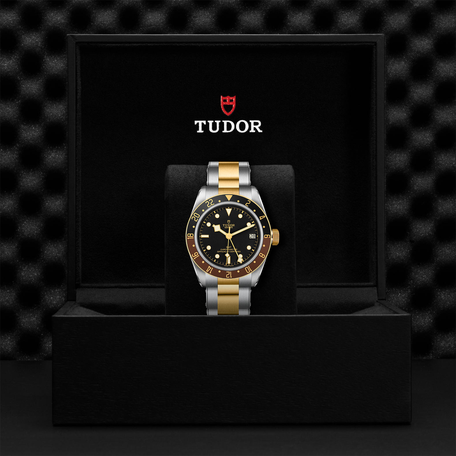 TUDOR Black Bay GMT Watch - M79833MN-0001 at Bhindi Jewelers