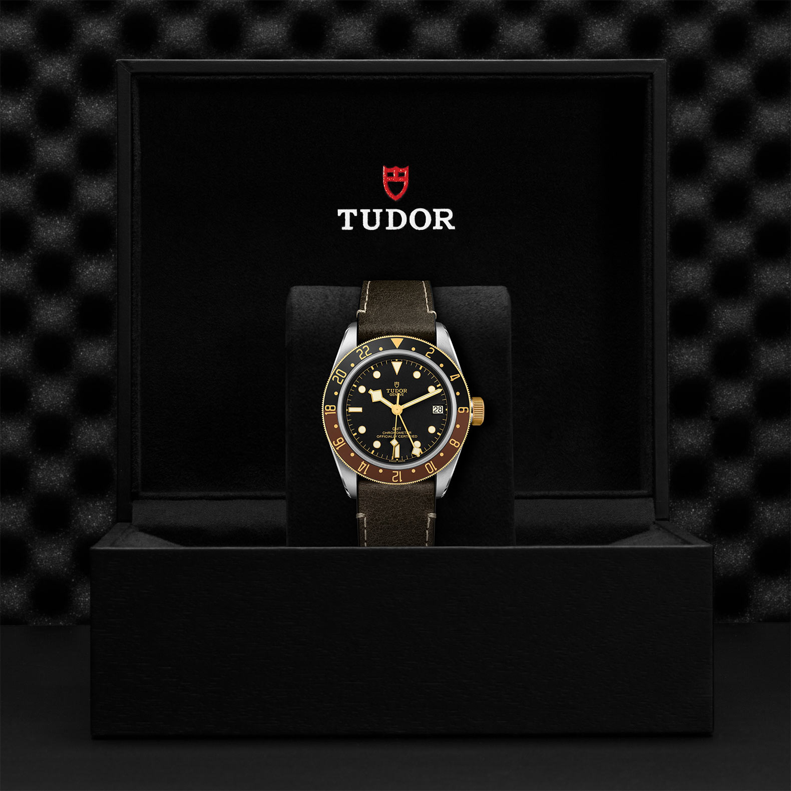 TUDOR Black Bay GMT Watch - M79833MN-0003 at Bhindi Jewelers