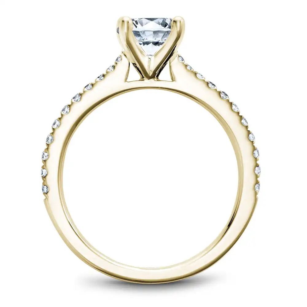 Noam Carver Semi Mount Engagement Ring