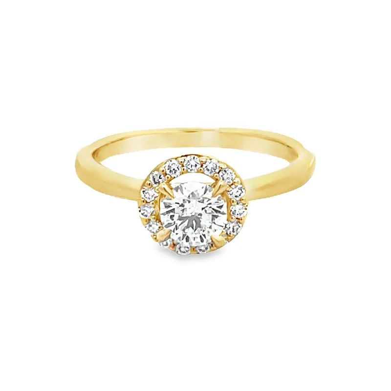 Elegant Gold Halo Engagement Ring