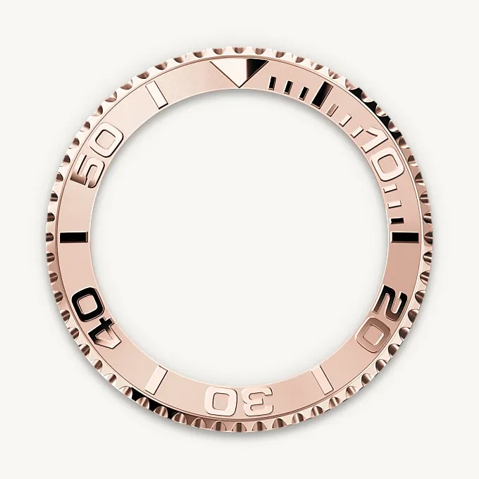 Bidirectional Rotatable Bezel