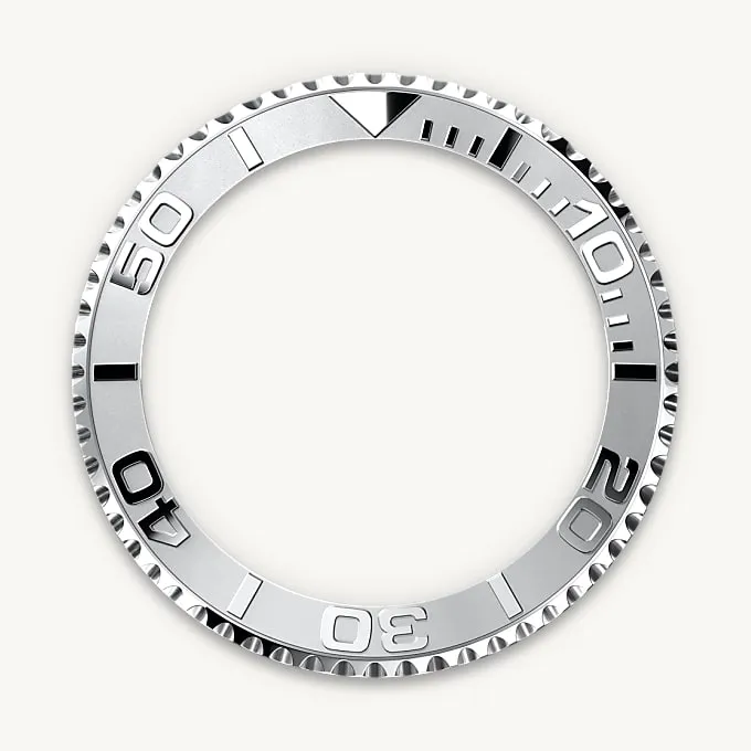 Bidirectional Rotatable Bezel